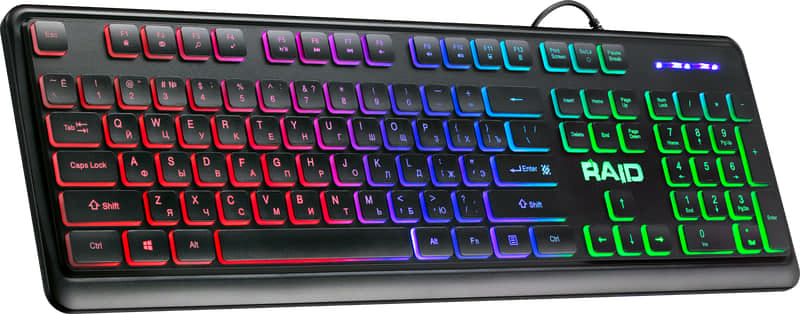 GK-778DL RAID(2)